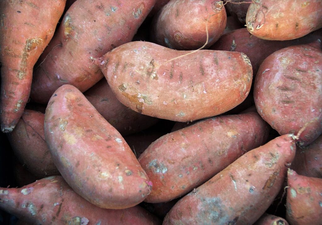 market, vegetables, fresh-4077575.jpg