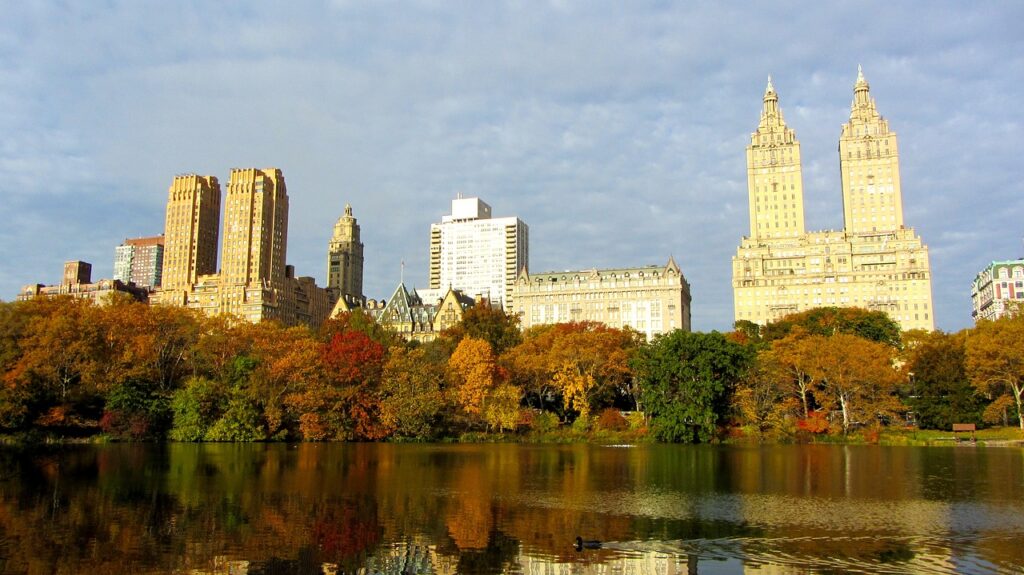 nyc, central park, autumn mood-270599.jpg